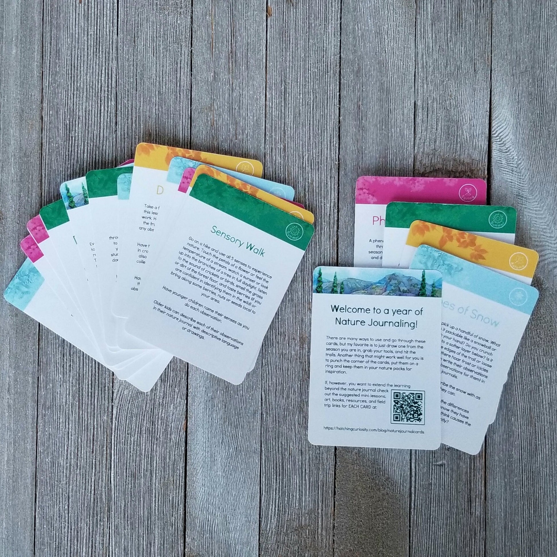 A Year of Nature Journaling Activity Cards