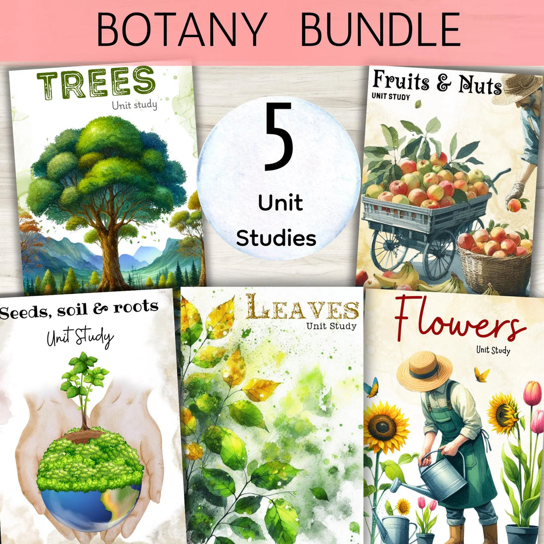 BOTANY bundle, Flower unit, Roots unit, Fruits unit, trees unit, Leaf unit, Anatomy bundle, life cycle, plant science unit, plant homeschool