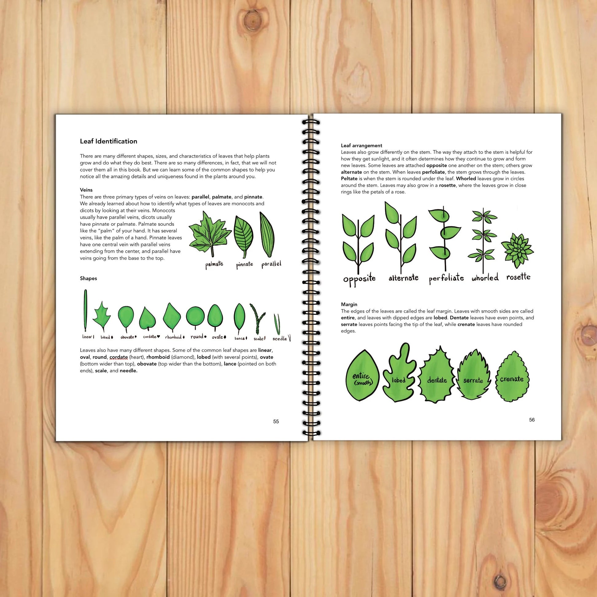 Elementary Life Science Workbook: Biology & Botany Basics for kids, including Animal Classification, Cells, Vertebrates, Plant Systems, etc