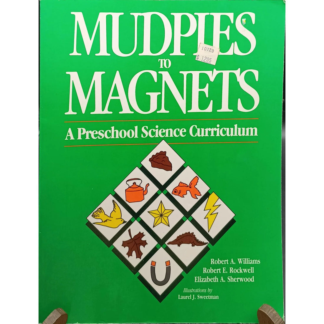 Mudpies To Magnets Preschool Science Curriculum Book By Williams & Rockwell