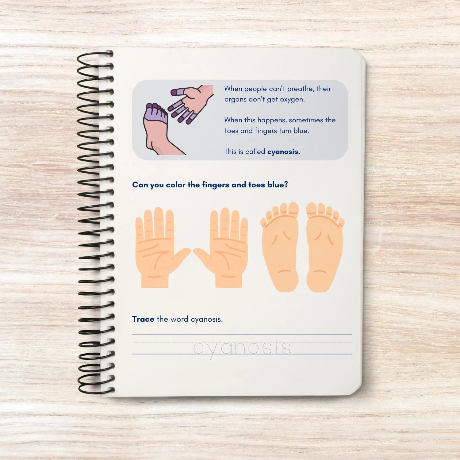 Respiratory activity book | Printable Worksheets | Homeschool Resources | Anatomy Curriculum | Learning Activities | STEM for kids
