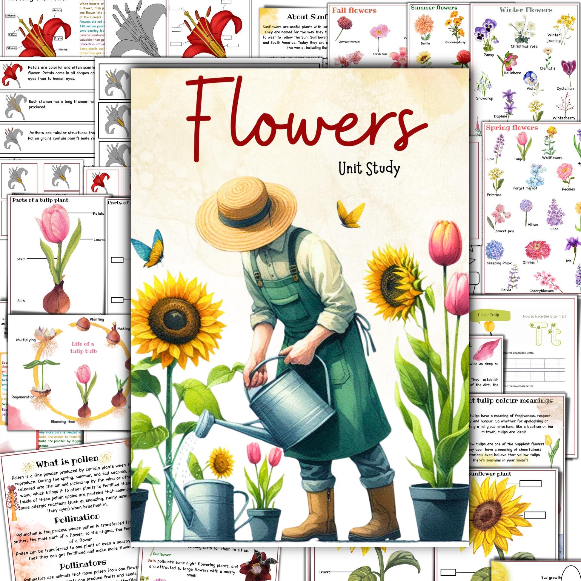 BOTANY bundle, Flower unit, Roots unit, Fruits unit, trees unit, Leaf unit, Anatomy bundle, life cycle, plant science unit, plant homeschool