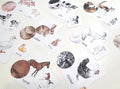 Farm Animal Matching Games, Animal Pattern Activity, Mother & Baby Animal Matching Cards, Farm Themed Preschool Activity, Nature Study Cards