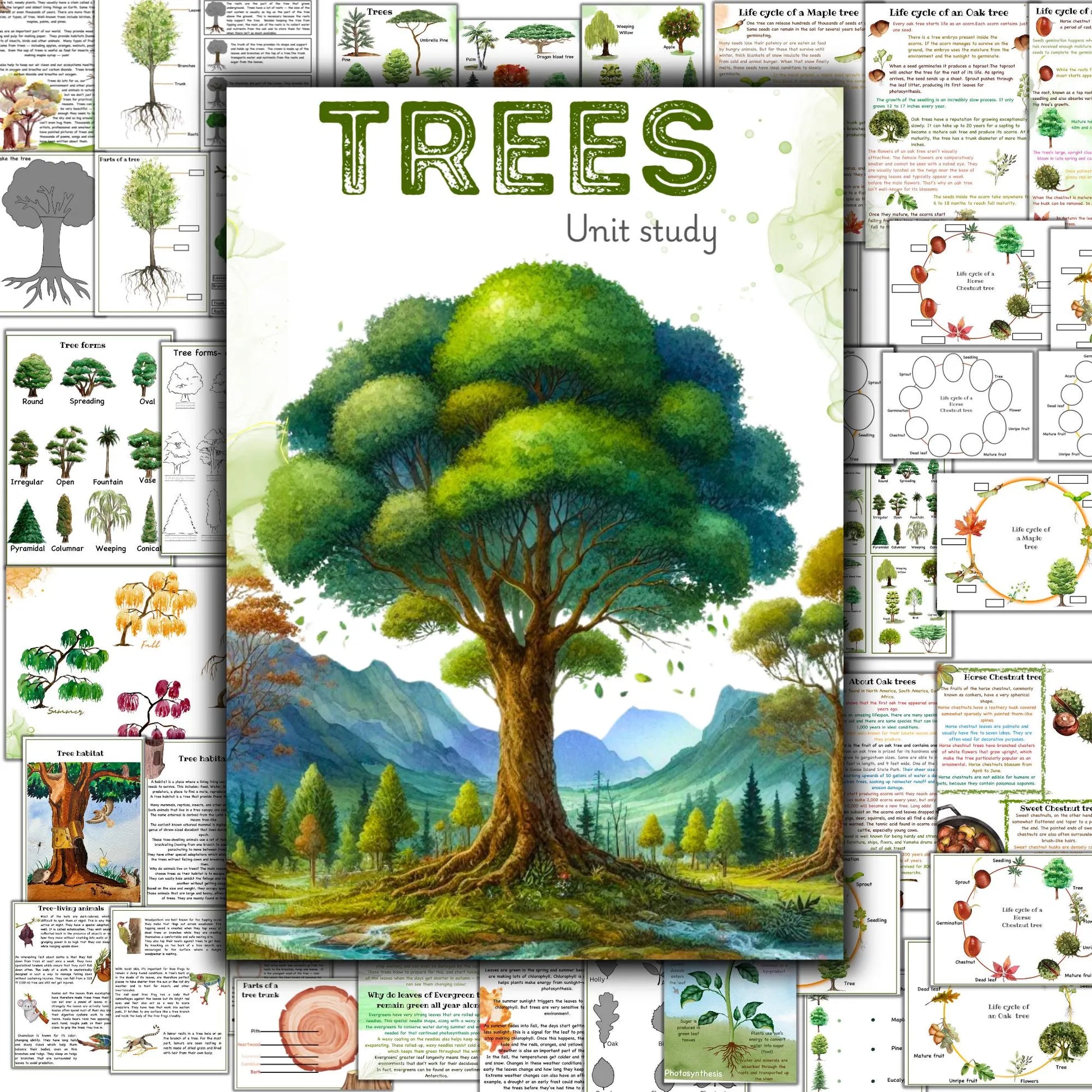 BOTANY bundle, Flower unit, Roots unit, Fruits unit, trees unit, Leaf unit, Anatomy bundle, life cycle, plant science unit, plant homeschool
