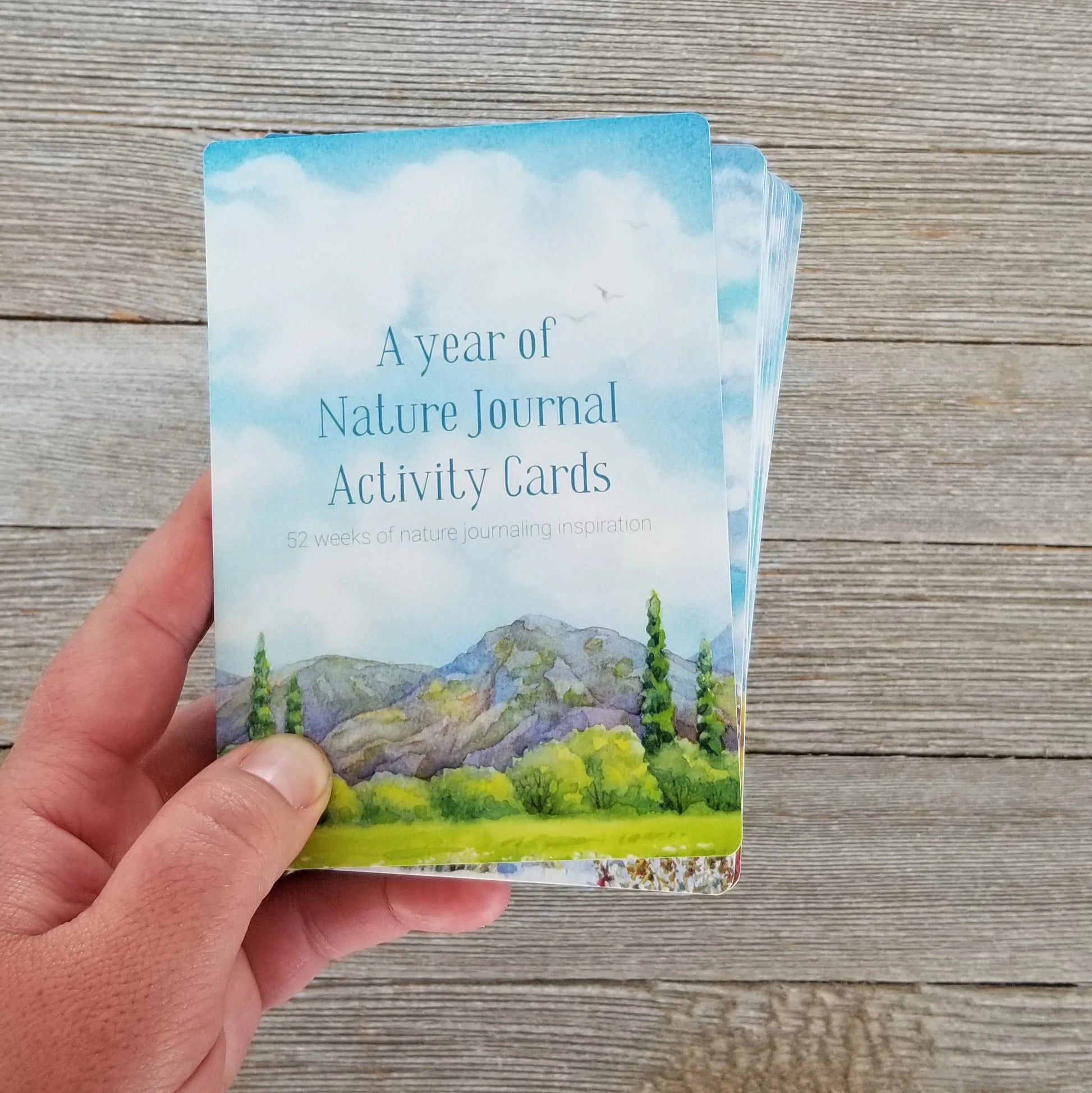 A Year of Nature Journaling Activity Cards