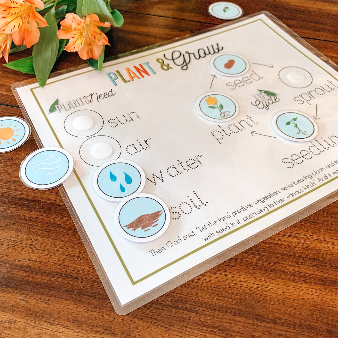 Plant Life Cycle Printable Activity, Kids Science Game, Nature Study, Botany Lesson, Preschool Kindergarten Curriculum, Homeschool Activity