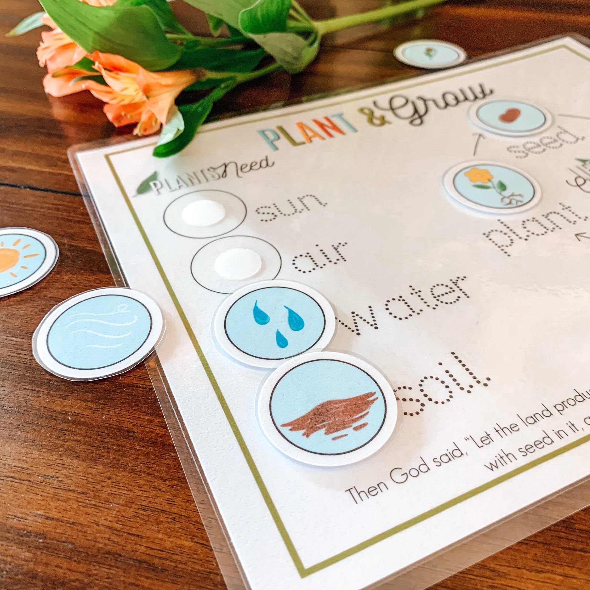 Plant Life Cycle Printable Activity, Kids Science Game, Nature Study, Botany Lesson, Preschool Kindergarten Curriculum, Homeschool Activity