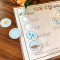 Plant Life Cycle Printable Activity, Kids Science Game, Nature Study, Botany Lesson, Preschool Kindergarten Curriculum, Homeschool Activity