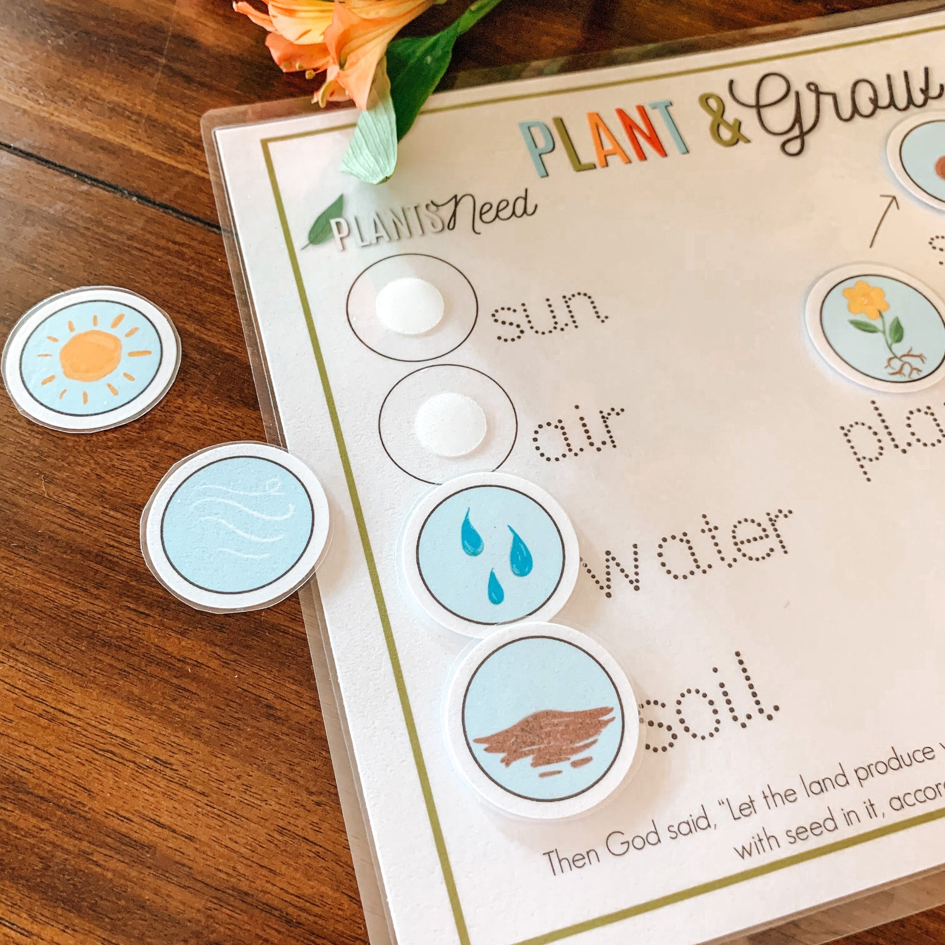 Plant Life Cycle Printable Activity, Kids Science Game, Nature Study, Botany Lesson, Preschool Kindergarten Curriculum, Homeschool Activity