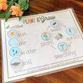 Plant Life Cycle Printable Activity, Kids Science Game, Nature Study, Botany Lesson, Preschool Kindergarten Curriculum, Homeschool Activity