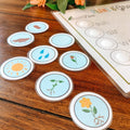 Plant Life Cycle Printable Activity, Kids Science Game, Nature Study, Botany Lesson, Preschool Kindergarten Curriculum, Homeschool Activity
