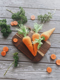 Carrot play food (felt food, vegetables, pretend play kids kitchen, plush toy, cooking toys, doll fake food, farmers market for baby)