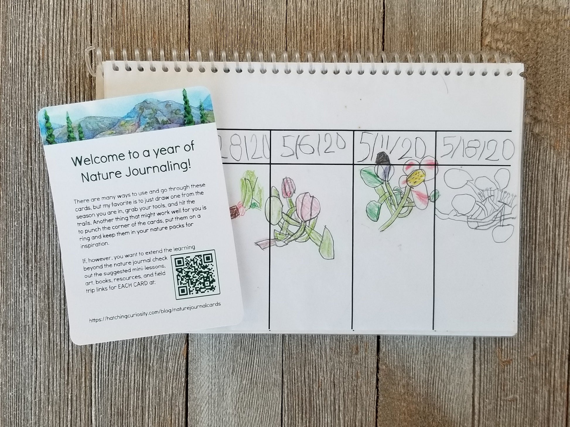 A Year of Nature Journaling Activity Cards