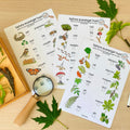 Printable Nature Journal Homeschool Learning Materials Charlotte Mason Nature Study Preschool Curriculum Toddler Busy Book Printable