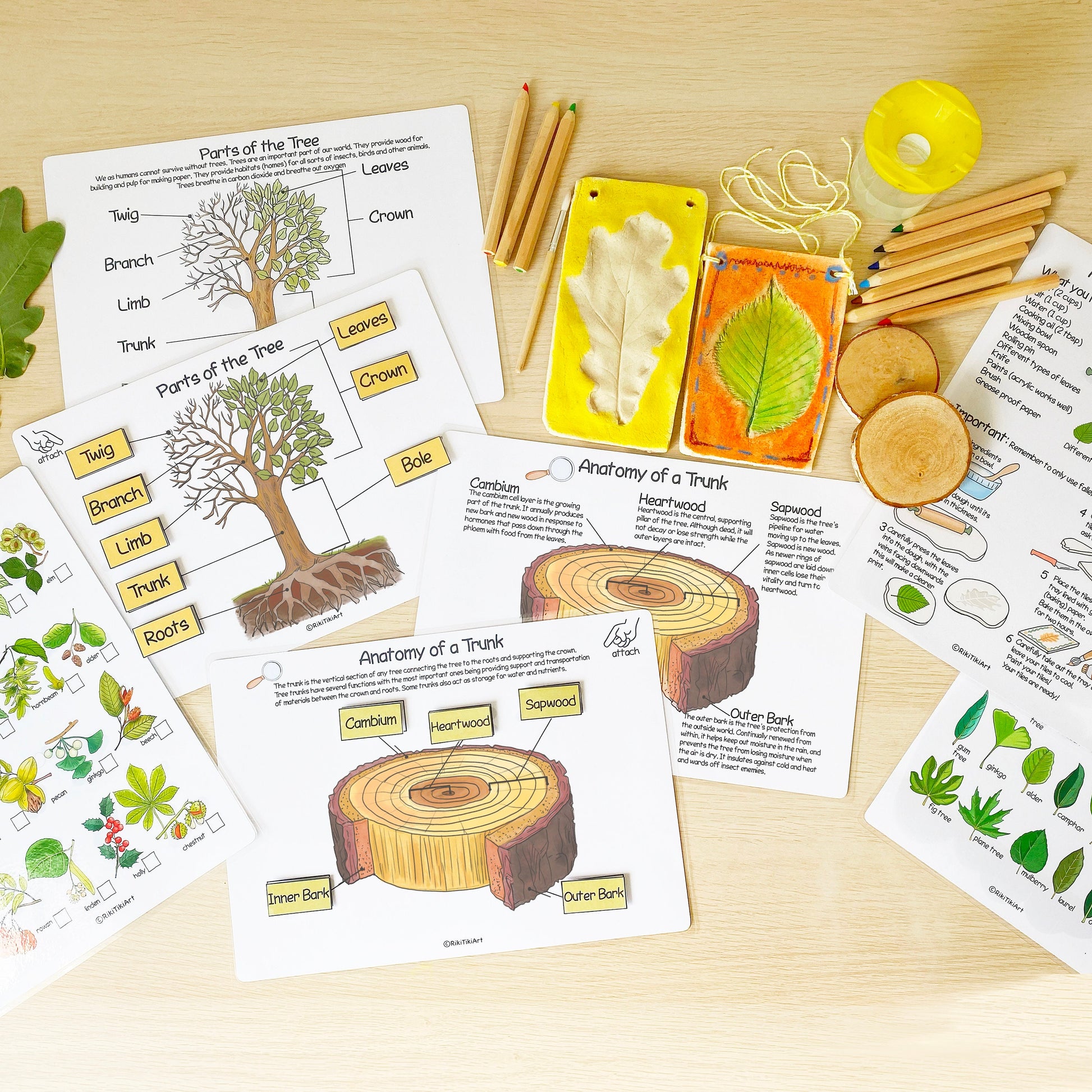 Printable Nature Journal Homeschool Learning Materials Charlotte Mason Nature Study Preschool Curriculum Toddler Busy Book Printable
