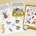 Printable Nature Journal Homeschool Learning Materials Charlotte Mason Nature Study Preschool Curriculum Toddler Busy Book Printable