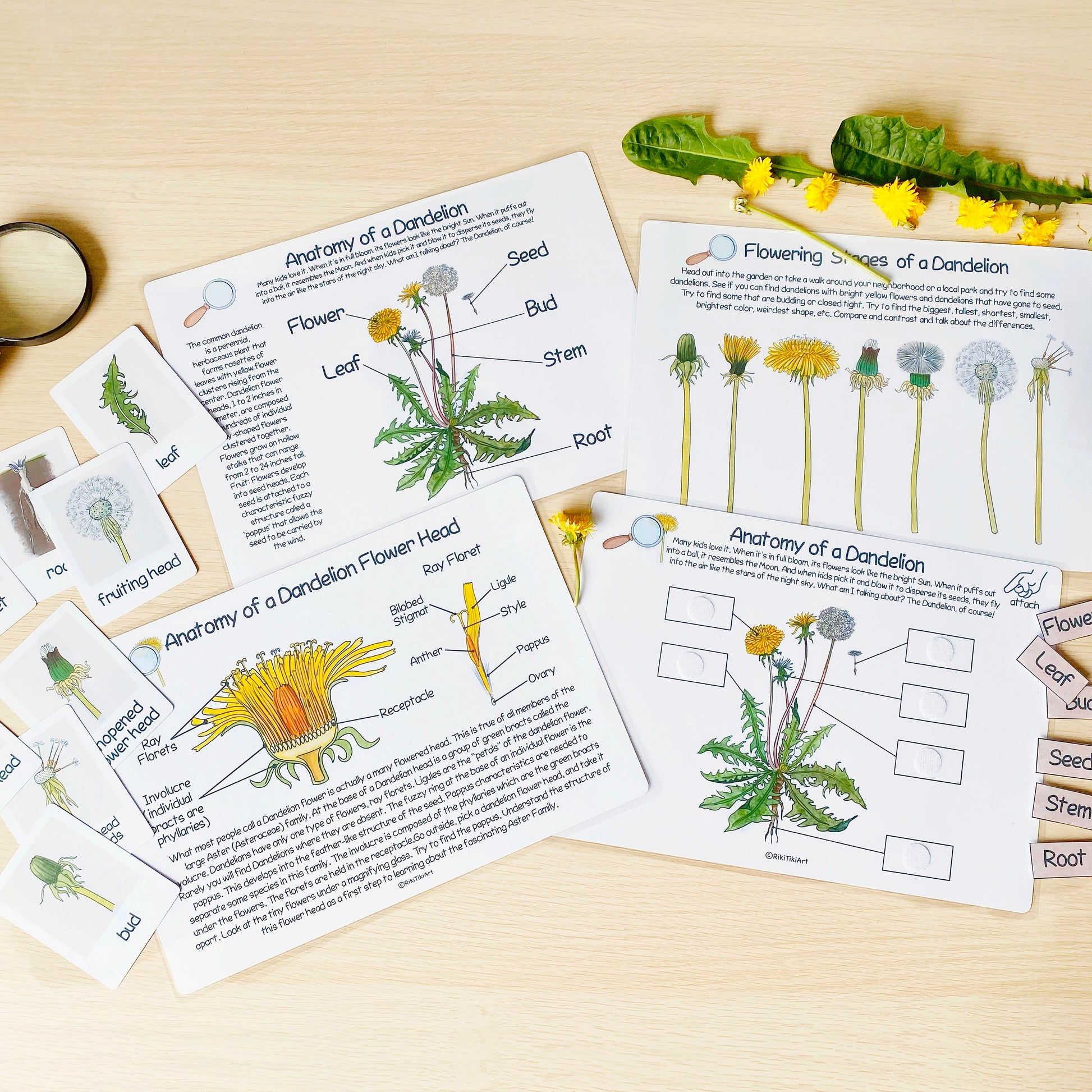 Printable Nature Journal Homeschool Learning Materials Charlotte Mason Nature Study Preschool Curriculum Toddler Busy Book Printable