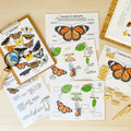 Printable Nature Journal Homeschool Learning Materials Charlotte Mason Nature Study Preschool Curriculum Toddler Busy Book Printable