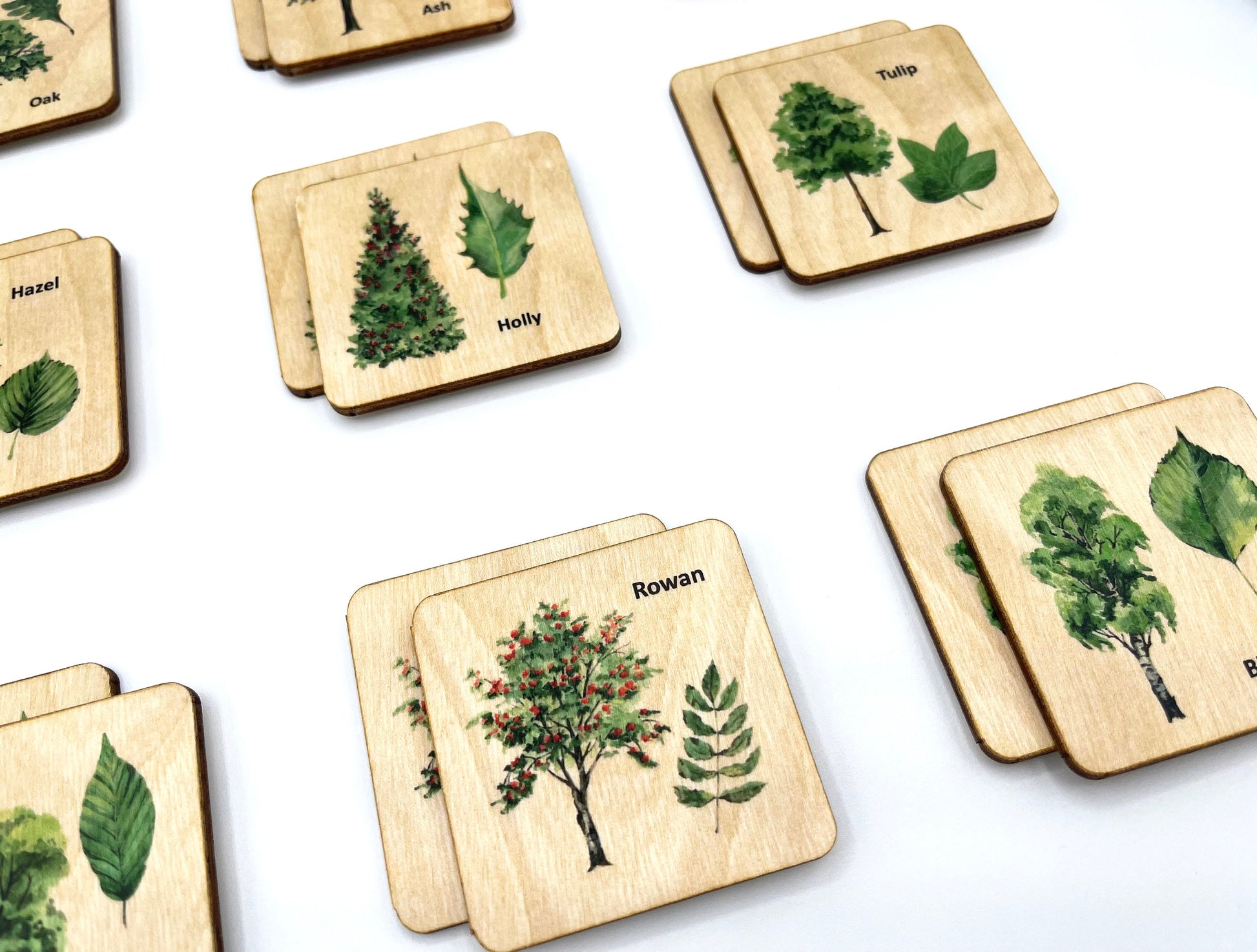 Wooden North American Tree leaf Matching Game, Montessori match Tree leaves activity for homeschool toddler preschooler kindergarten kids