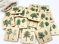 Wooden North American Tree leaf Matching Game, Montessori match Tree leaves activity for homeschool toddler preschooler kindergarten kids