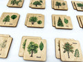 Wooden North American Tree leaf Matching Game, Montessori match Tree leaves activity for homeschool toddler preschooler kindergarten kids