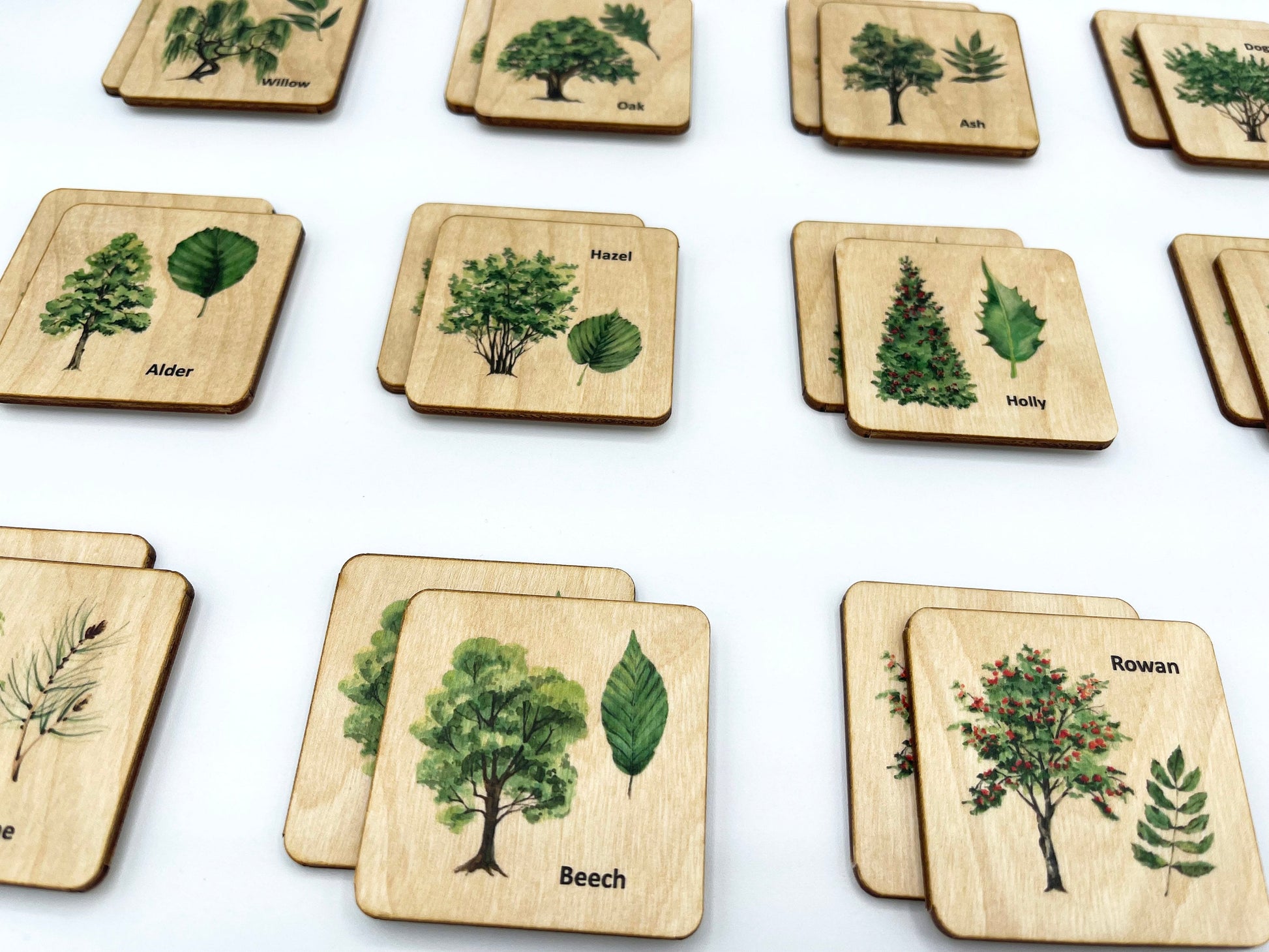 Wooden North American Tree leaf Matching Game, Montessori match Tree leaves activity for homeschool toddler preschooler kindergarten kids