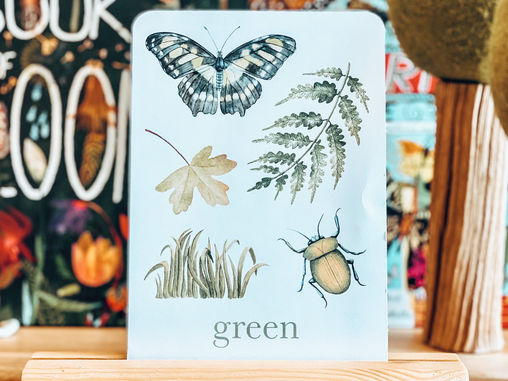 Colour Nature Flashcards, Nature Inspired,  Printable Colour Flashcards for Kids, Educational Printable Cards, Montessori Flashcards