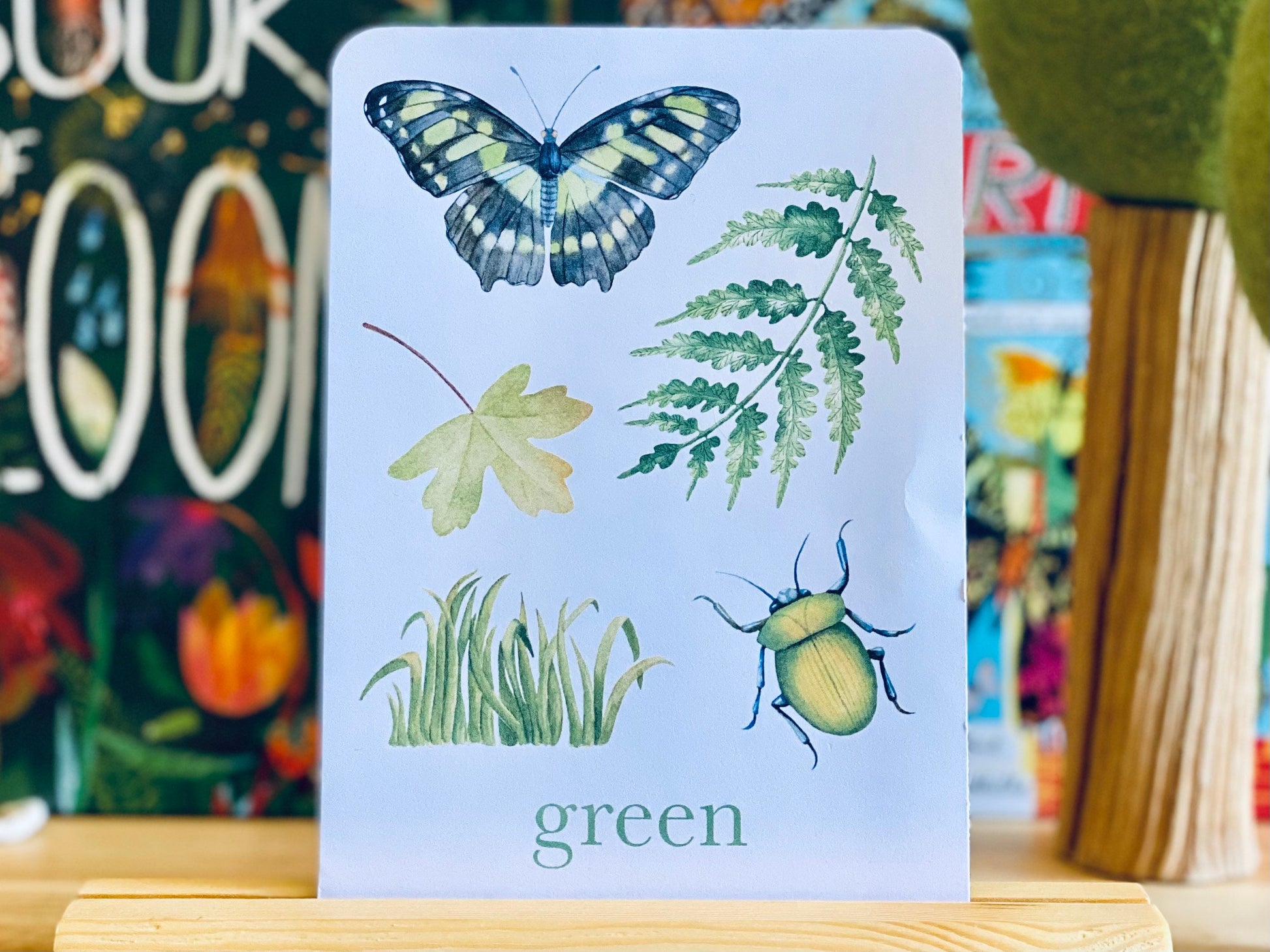 Colour Nature Flashcards, Nature Inspired,  Printable Colour Flashcards for Kids, Educational Printable Cards, Montessori Flashcards