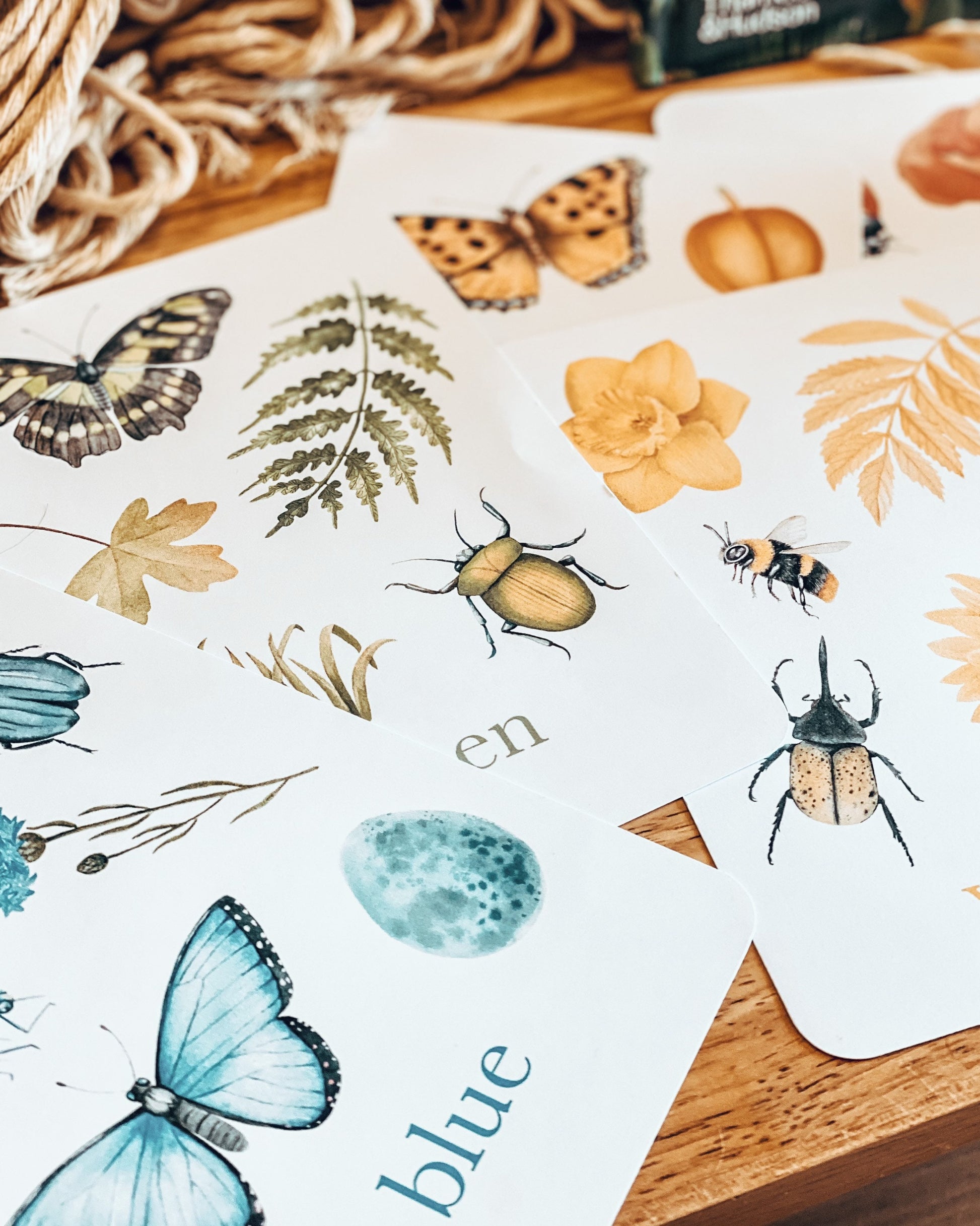 Colour Nature Flashcards, Nature Inspired,  Printable Colour Flashcards for Kids, Educational Printable Cards, Montessori Flashcards