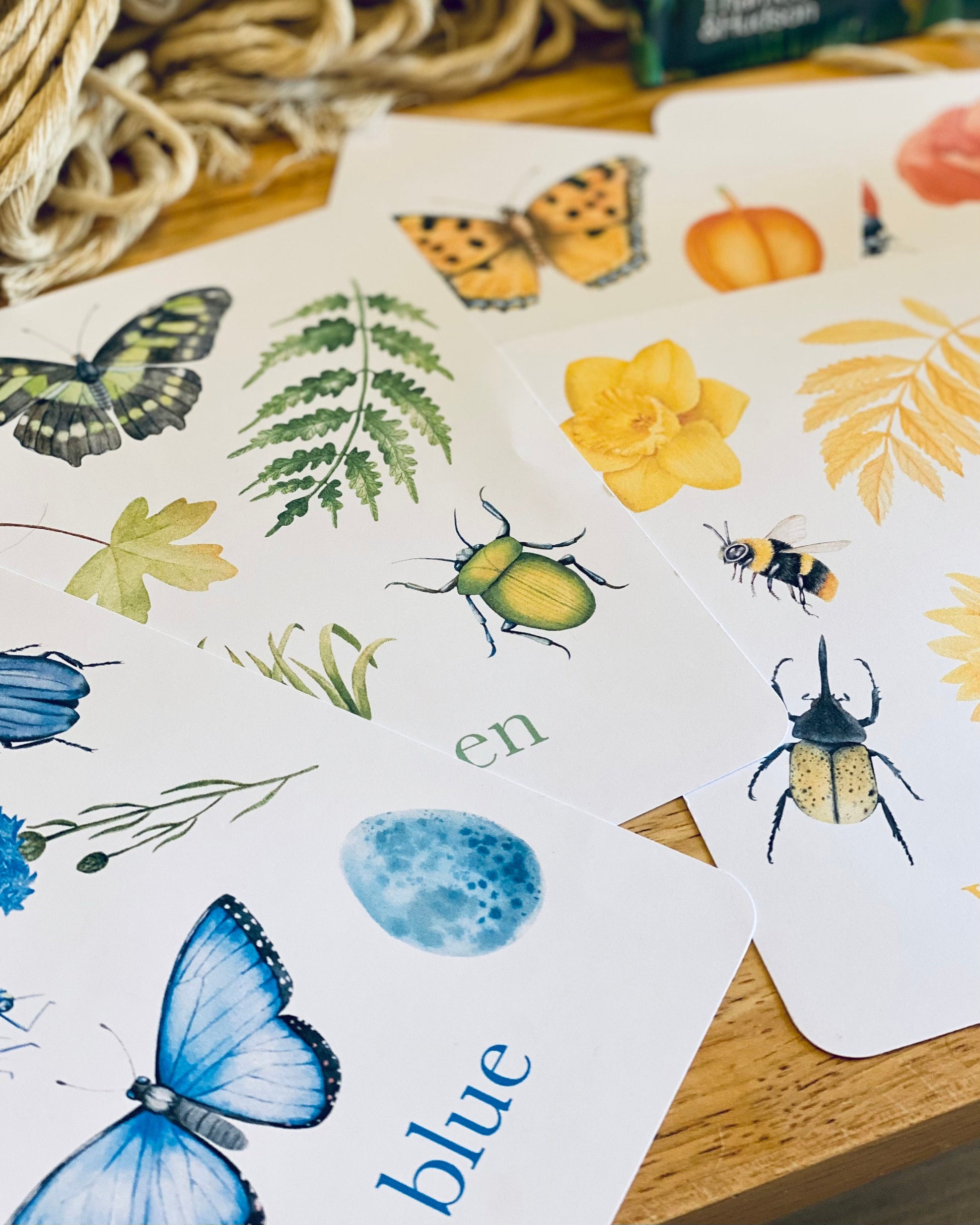 Colour Nature Flashcards, Nature Inspired,  Printable Colour Flashcards for Kids, Educational Printable Cards, Montessori Flashcards