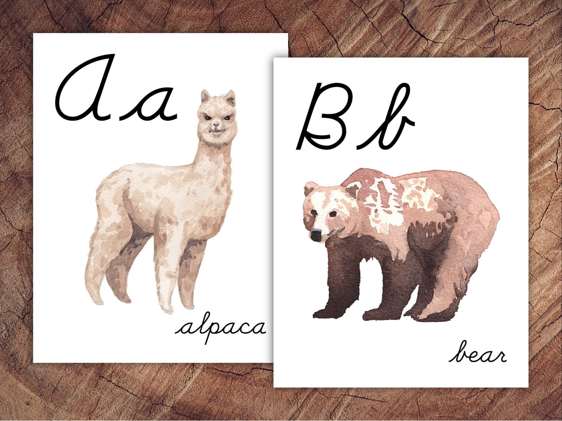 Animals of the World Alphabet Posters, CURSIVE, Large Format for Classroom Use