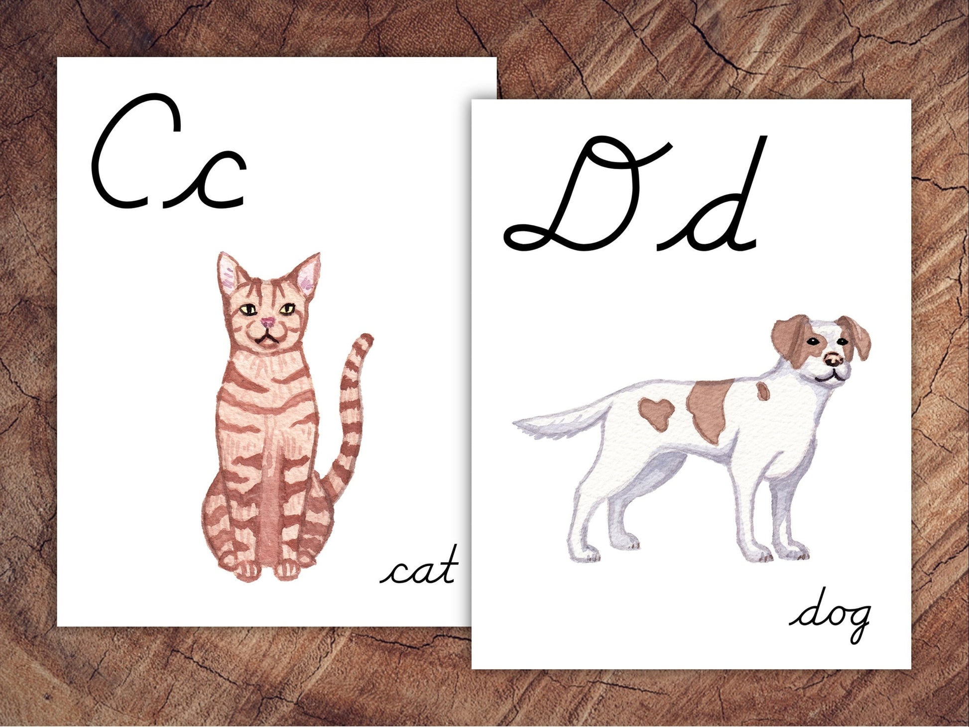 Animals of the World Alphabet Posters, CURSIVE, Large Format for Classroom Use