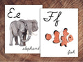Animals of the World Alphabet Posters, CURSIVE, Large Format for Classroom Use