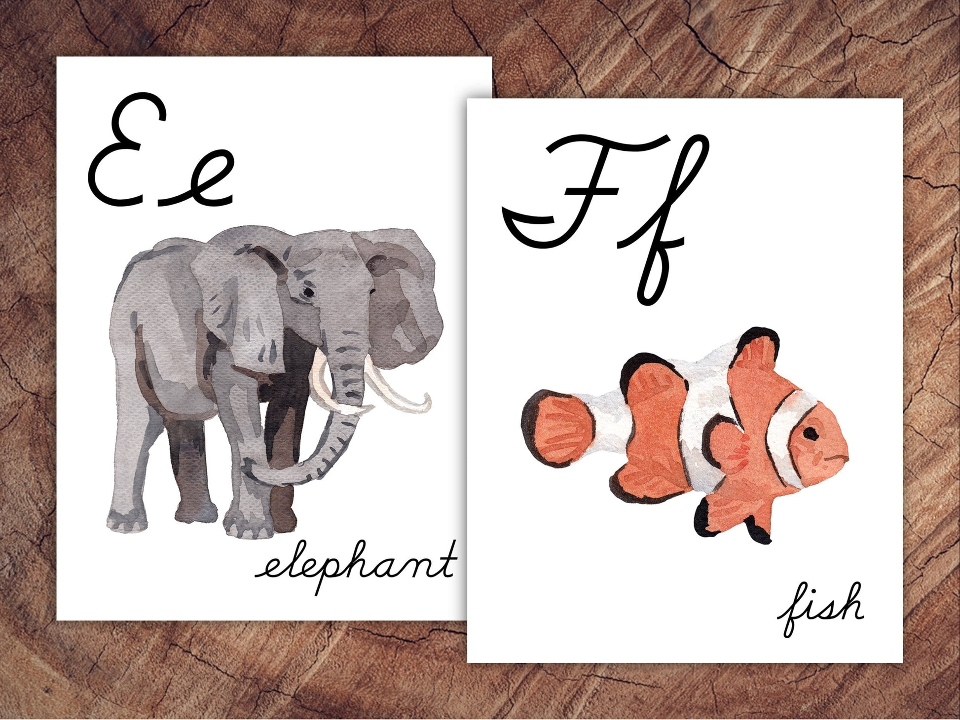 Animals of the World Alphabet Posters, CURSIVE, Large Format for Classroom Use