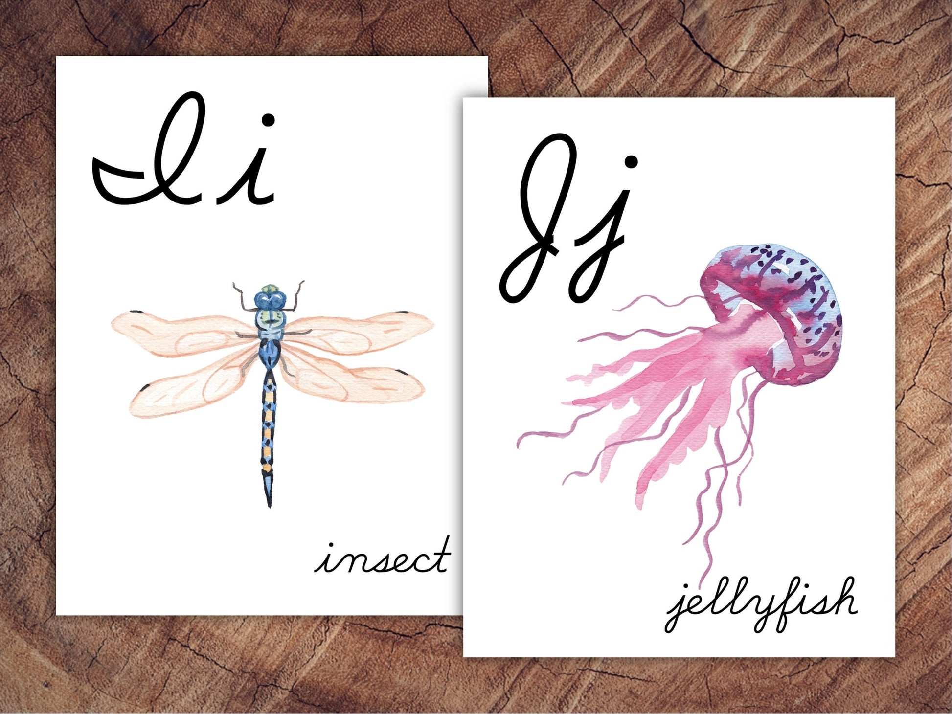Animals of the World Alphabet Posters, CURSIVE, Large Format for Classroom Use