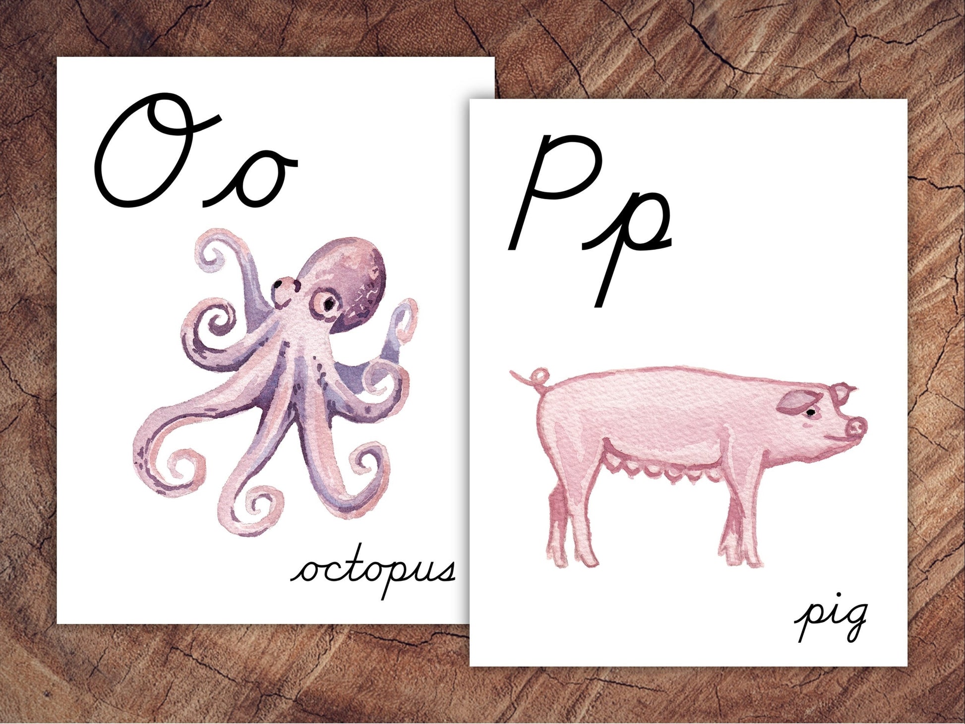 Animals of the World Alphabet Posters, CURSIVE, Large Format for Classroom Use