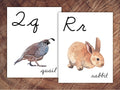 Animals of the World Alphabet Posters, CURSIVE, Large Format for Classroom Use