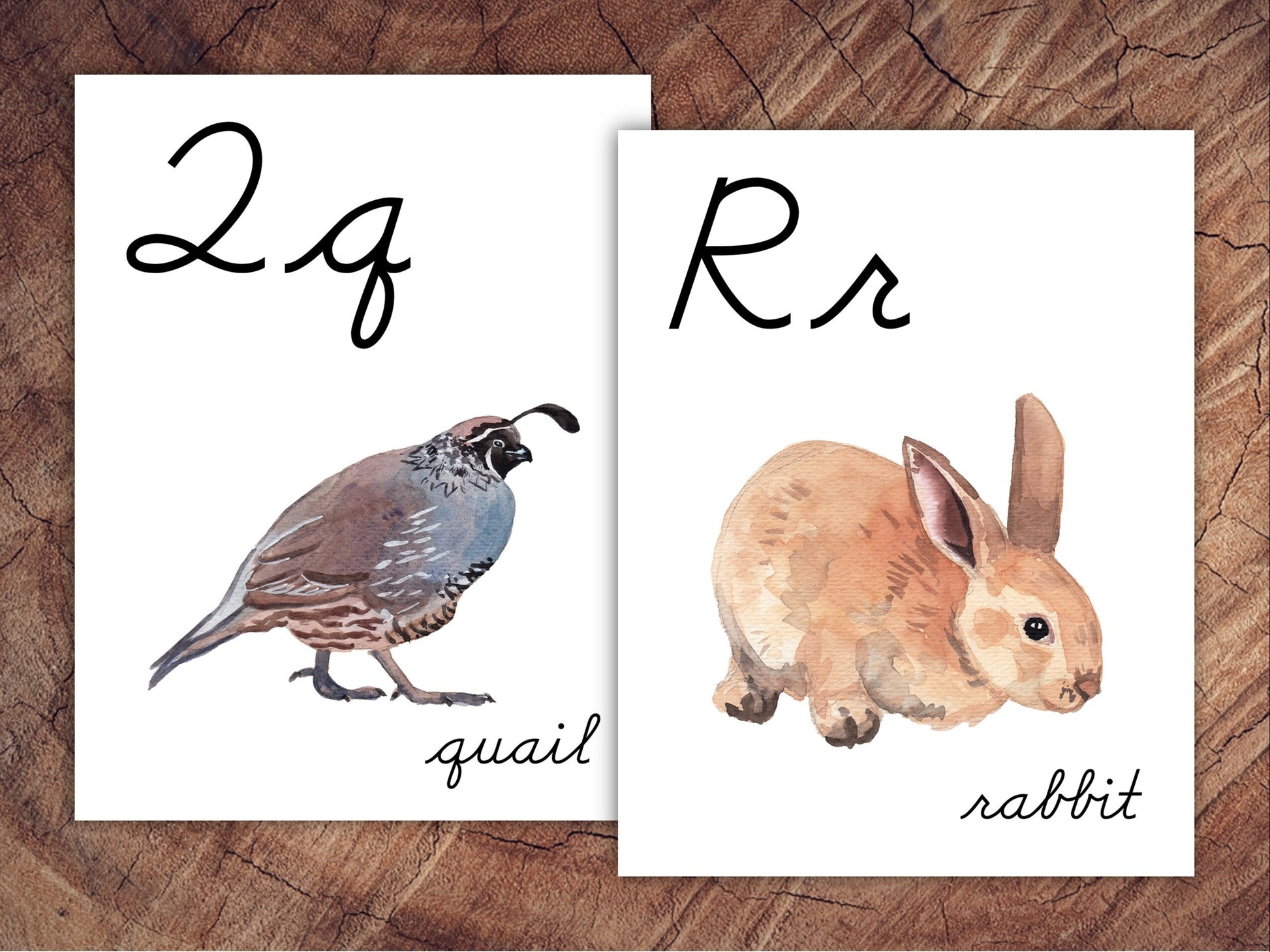 Animals of the World Alphabet Posters, CURSIVE, Large Format for Classroom Use