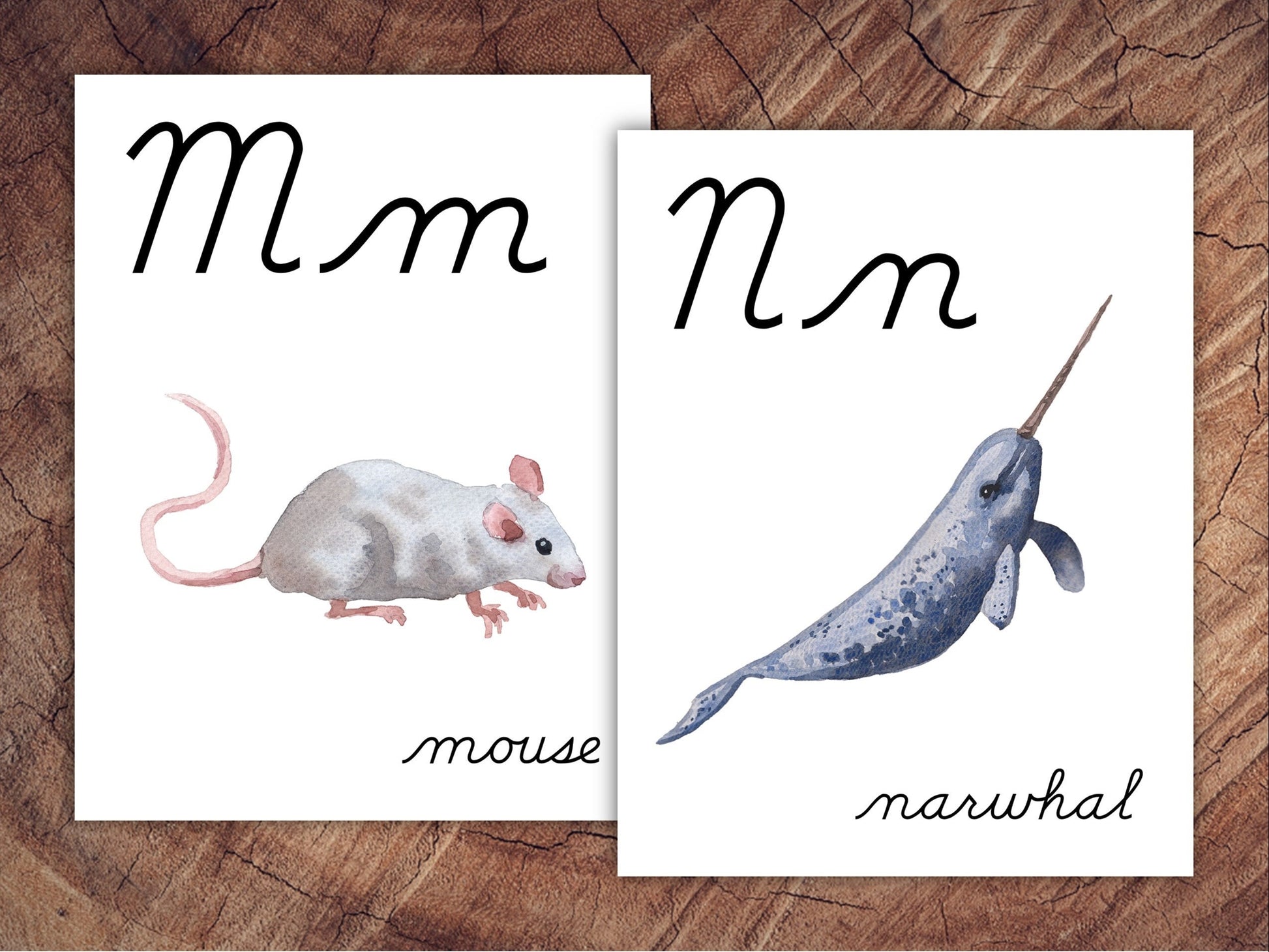 Animals of the World Alphabet Posters, CURSIVE, Large Format for Classroom Use