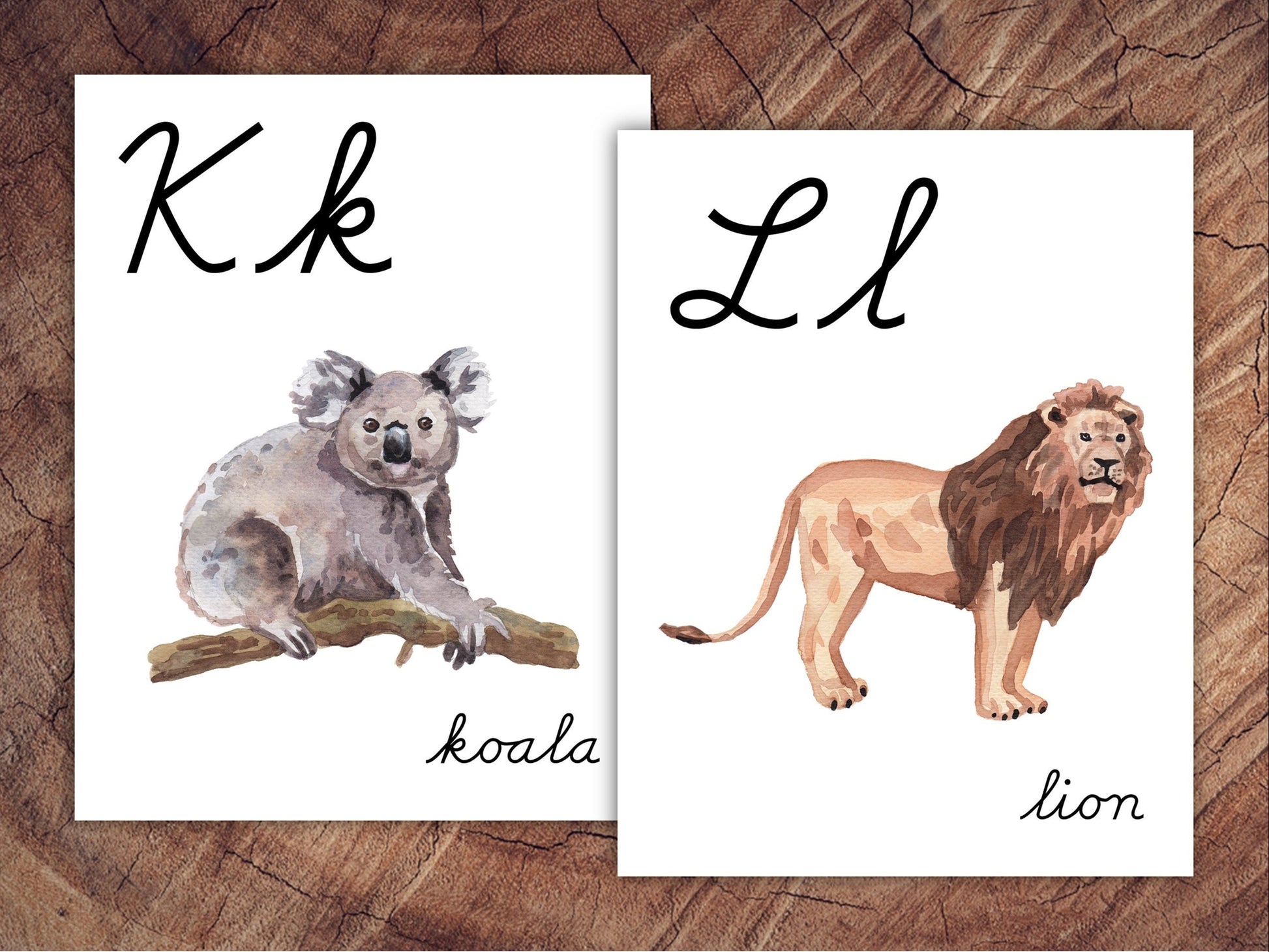 Animals of the World Alphabet Posters, CURSIVE, Large Format for Classroom Use