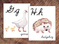 Animals of the World Alphabet Posters, CURSIVE, Large Format for Classroom Use