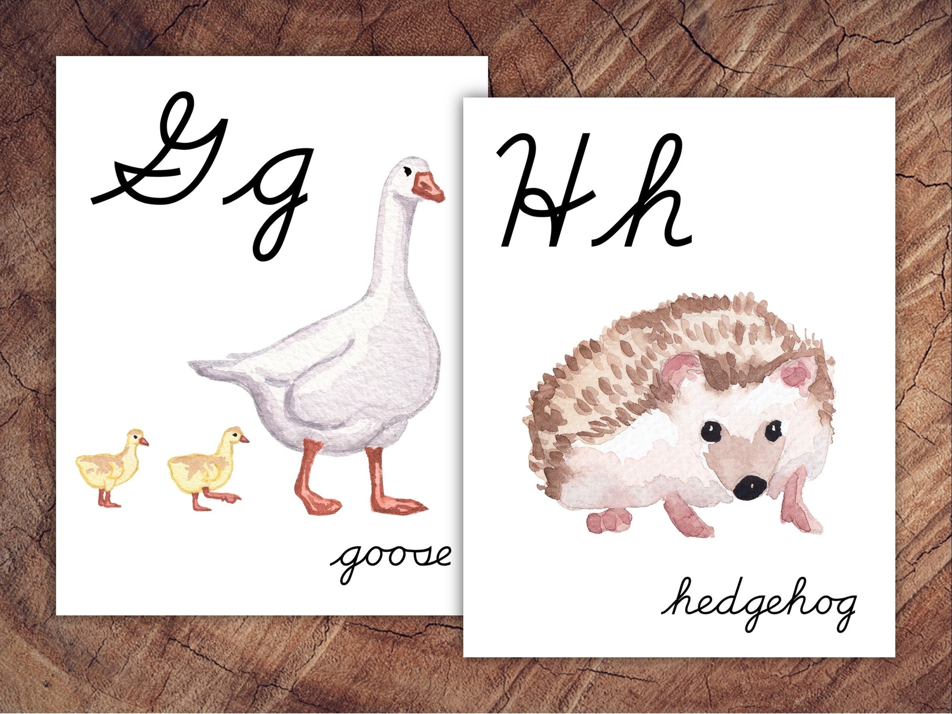 Animals of the World Alphabet Posters, CURSIVE, Large Format for Classroom Use