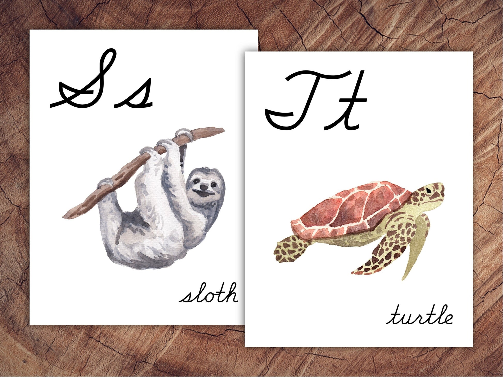 Animals of the World Alphabet Posters, CURSIVE, Large Format for Classroom Use