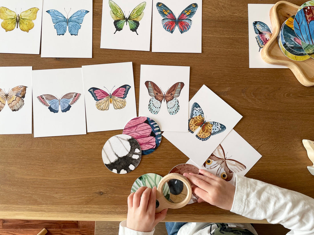 Butterfly Matching Cards, Montessori Materials Printable, Toddler Pattern Matching, Three Part Cards, Nature Study, Homeschool Learning
