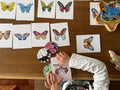 Butterfly Matching Cards, Montessori Materials Printable, Toddler Pattern Matching, Three Part Cards, Nature Study, Homeschool Learning