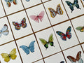 Butterfly Matching Cards, Montessori Materials Printable, Toddler Pattern Matching, Three Part Cards, Nature Study, Homeschool Learning