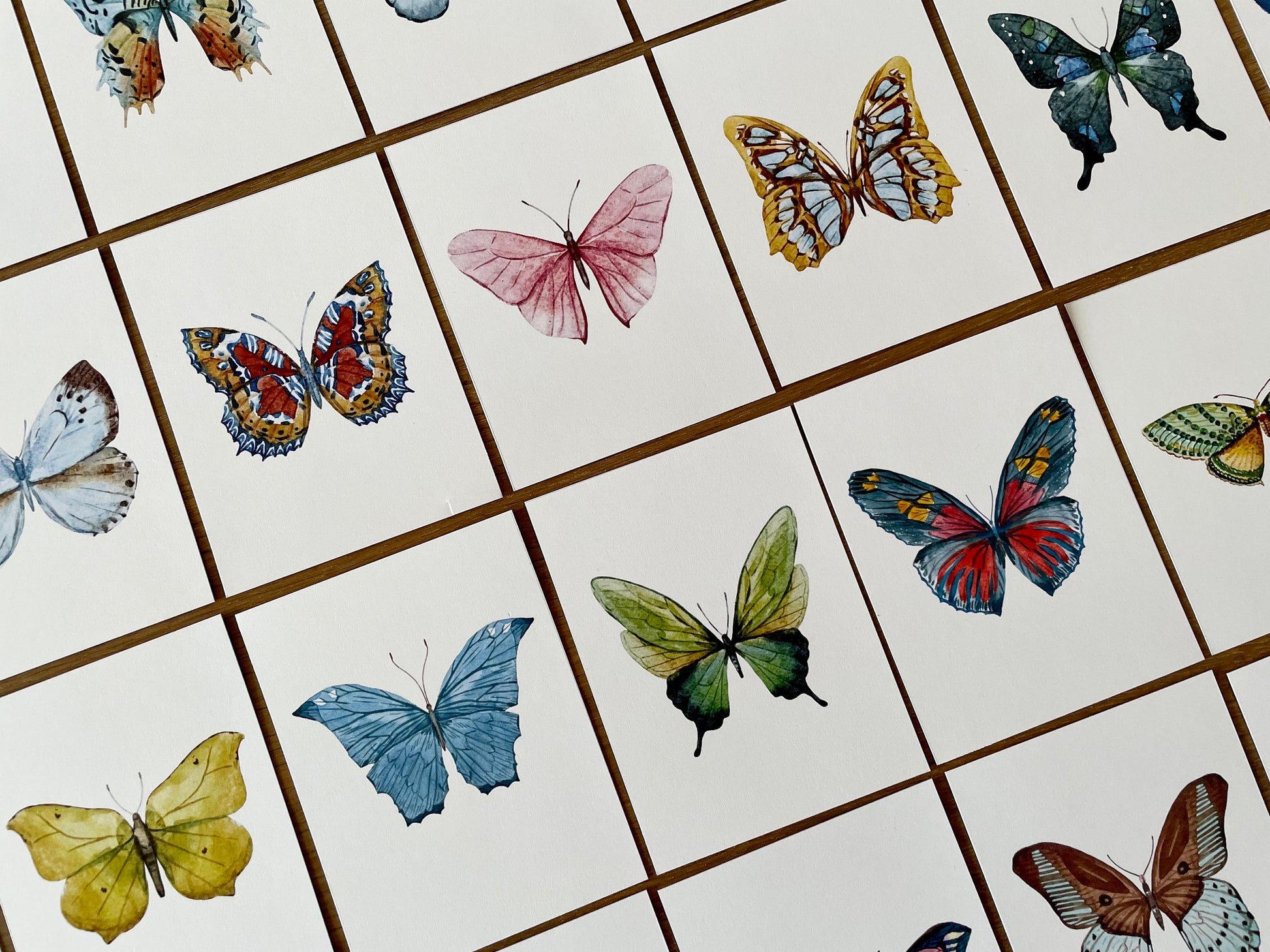 Butterfly Matching Cards, Montessori Materials Printable, Toddler Pattern Matching, Three Part Cards, Nature Study, Homeschool Learning