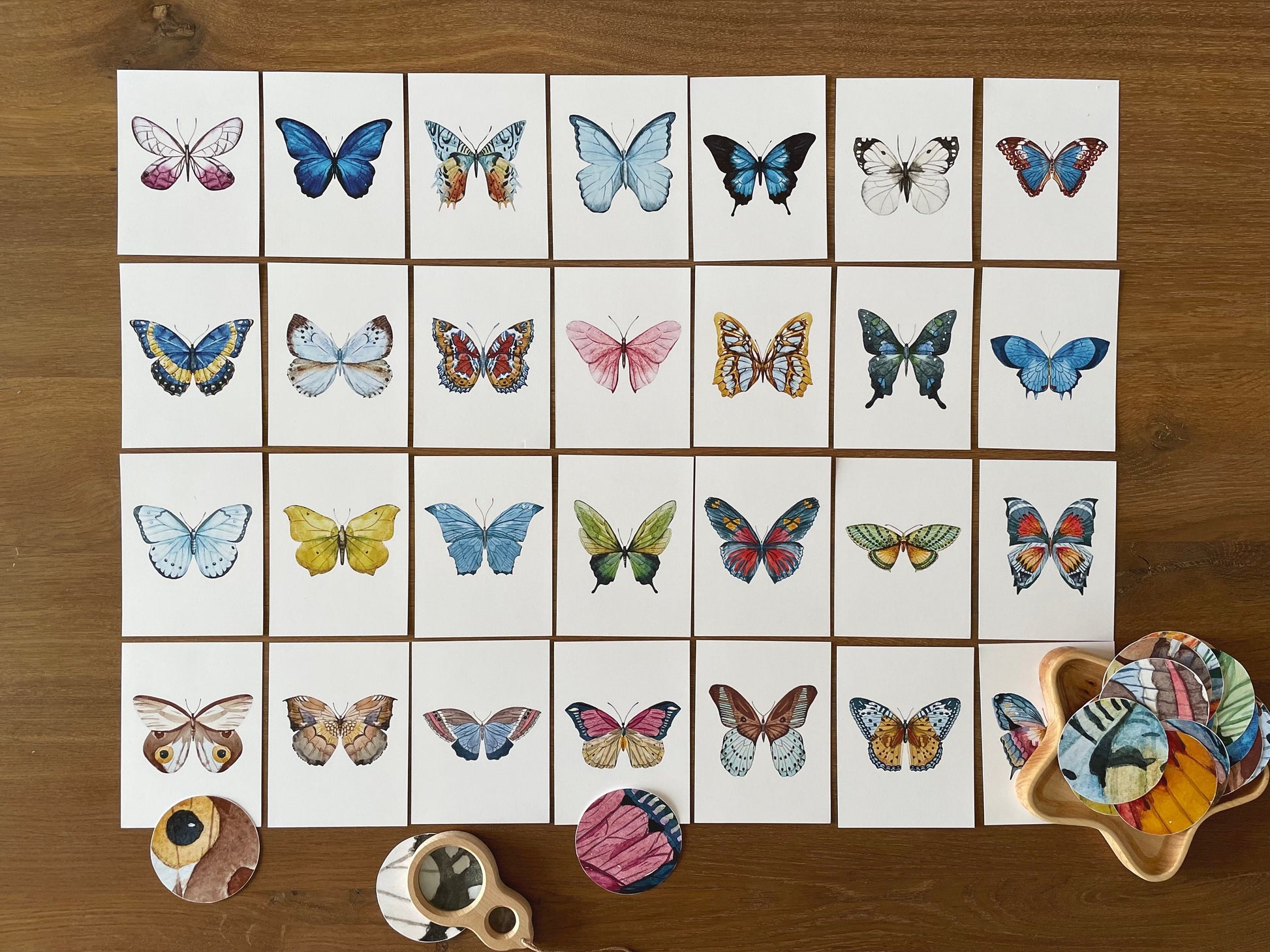 Butterfly Matching Cards, Montessori Materials Printable, Toddler Pattern Matching, Three Part Cards, Nature Study, Homeschool Learning