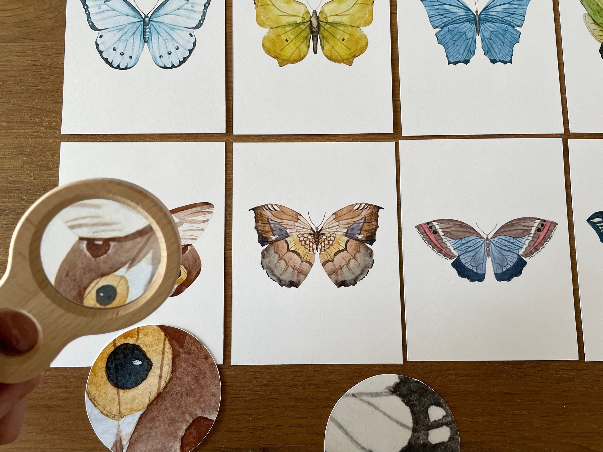 Butterfly Matching Cards, Montessori Materials Printable, Toddler Pattern Matching, Three Part Cards, Nature Study, Homeschool Learning
