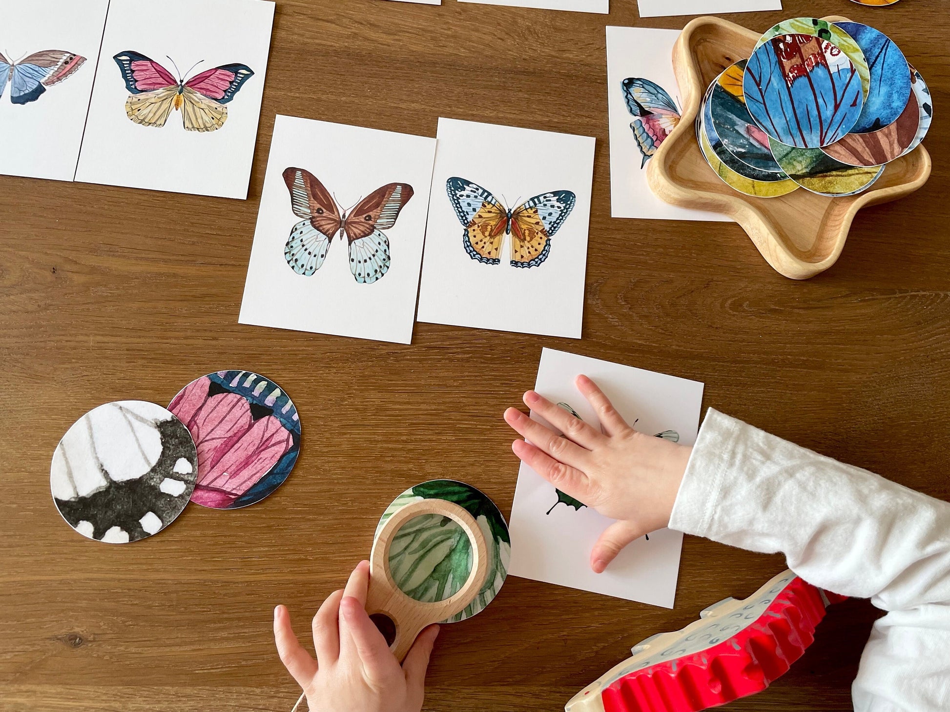 Butterfly Matching Cards, Montessori Materials Printable, Toddler Pattern Matching, Three Part Cards, Nature Study, Homeschool Learning